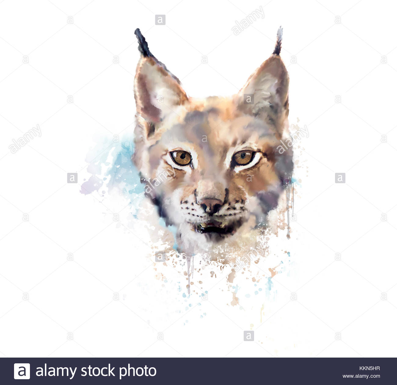 1300x1263 Digital Painting Of Watercolor Lynx Stock Photo 167037187 - Lynx Painting