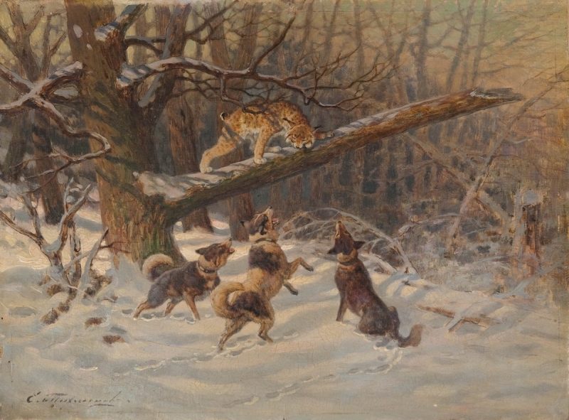 800x591 Dogs Driving Lynx Painting Yevgeny Tikhmenev Oil Paintings - Lynx Painting