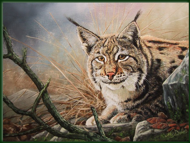 654x494 European Lynx Nico Bulder Wildlife Painter - Lynx Painting