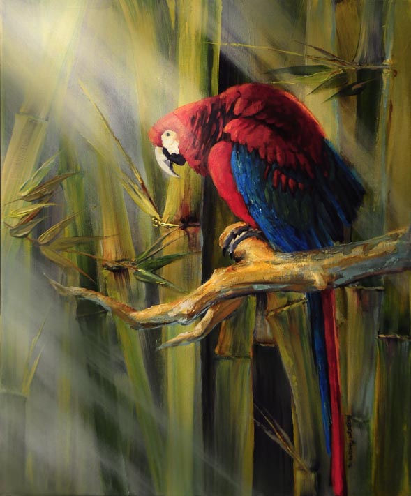 589x711 How To Paint Birds In Acrylic - Macaw Painting