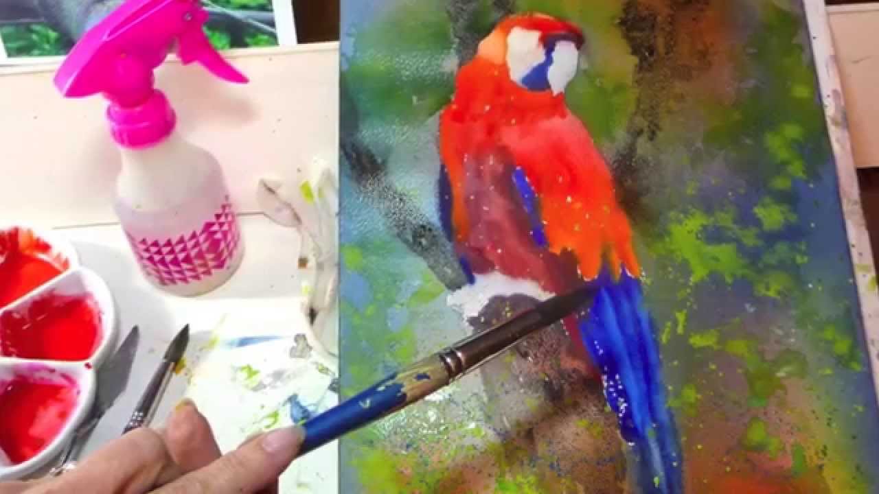 1280x720 Painting Process Scarlet Macaw - Macaw Painting