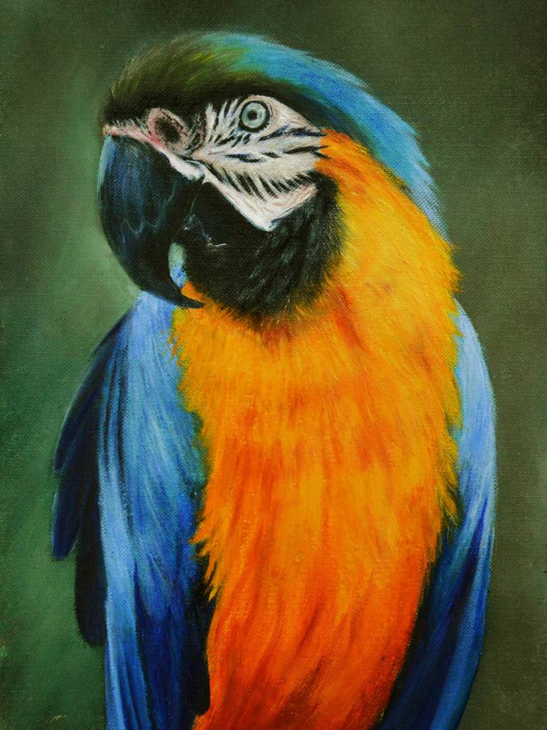 770x1027 Saatchi Art Blue And Gold Macaw Painting By Lynn Hughes - Macaw Painting