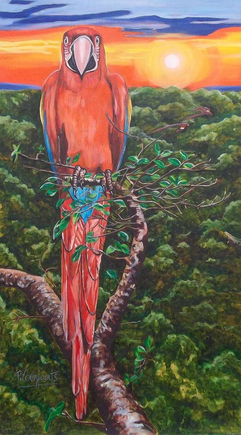 770x1387 Saatchi Art Macaw Afternoon Painting By Patricia Coenjaerts - Macaw Painting