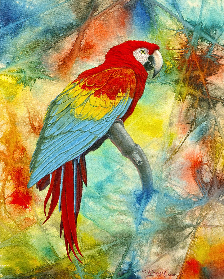 722x900 Scarlet Macaw In Abstract Painting By Paul Krapf - Macaw Painting