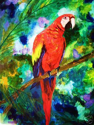 300x400 Scarlet Macaw Painting By Pamela Squires - Macaw Painting