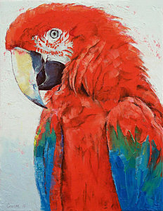 232x300 Scarlet Macaw Paintings Fine Art America - Macaw Painting