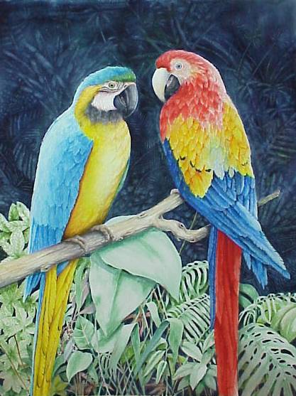 417x557 Betty Gerstner's China Painting Information On The Web - Macaw Painting