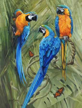 Macaw Painting at PaintingValley.com | Explore collection of Macaw Painting