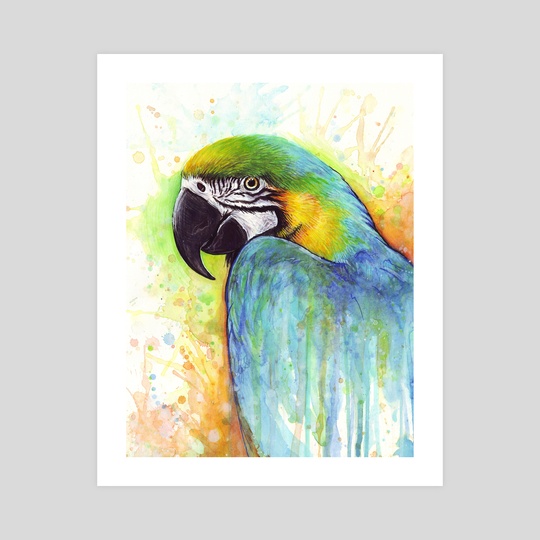 540x540 Colorful Macaw Parrot Watercolor Painting, An Art Print By Olga - Macaw Painting