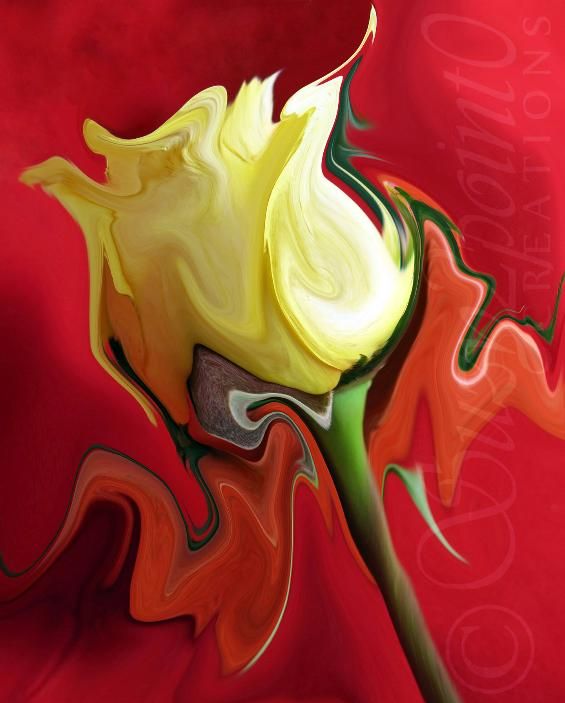 565x703 The Matador From Suzy2.0 Floral Digital Paintings, - Macro Painting