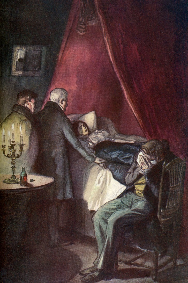 727x1093 Teaching The New Yorker - Madame Bovary Painting