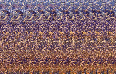 400x254 Black Dog Star November 2009 - Magic Eye Painting