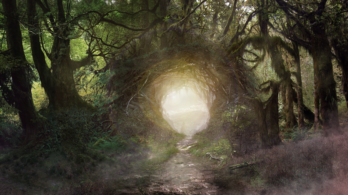 1200x675 Druid Forest Inspiration Magical Forest Matte By Theartofsaul - Magical Forest Painting