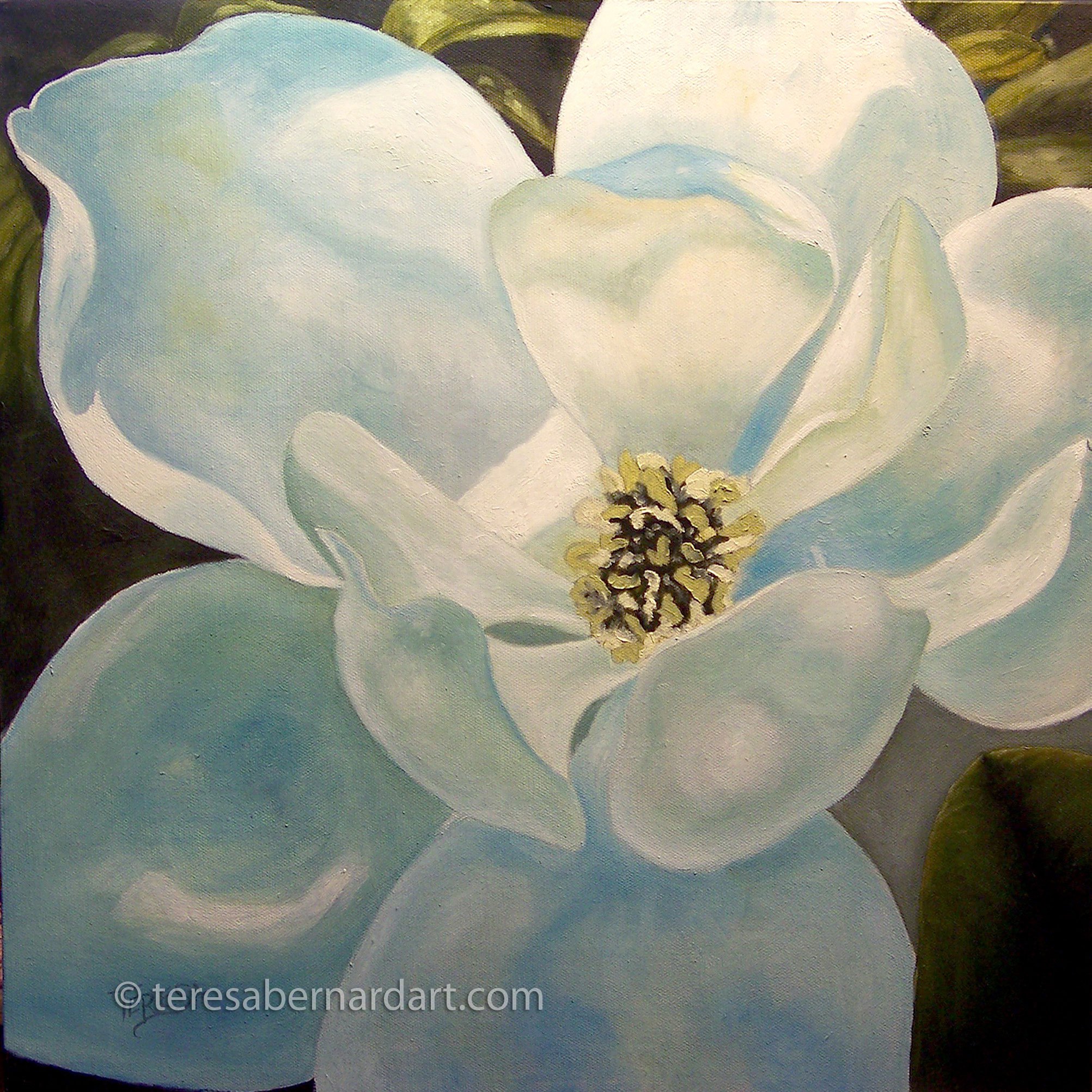2005x2005 Magnolia Blossom Painting Teresa Bernard Oil Paintings - Magnolia Flower Painting