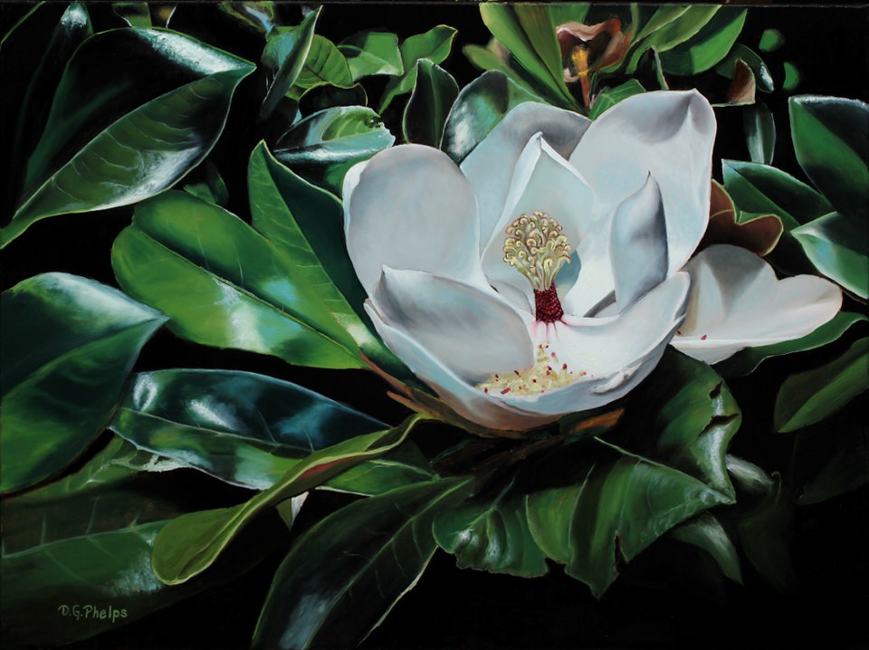 960x718 Magnolia Flower Painting And Some History Behind This Southern - Magnolia Flower Painting