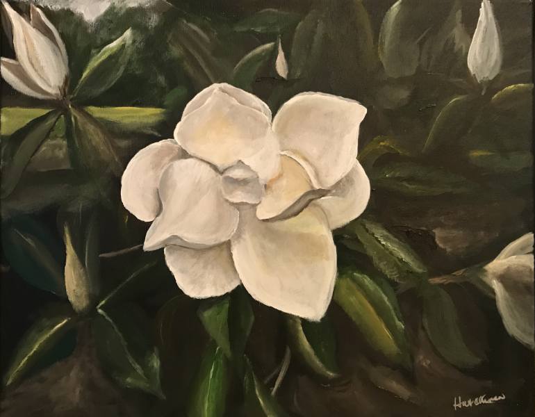 770x600 Saatchi Art Magnolia Bloom Painting By Susan Hutchinson - Magnolia Flower Painting