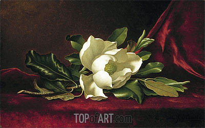 400x251 The Magnolia Flower Martin Johnson Heade Painting Reproduction - Magnolia Flower Painting