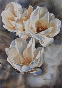 213x300 Three White Magnolias Painting By Sharon Freeman - Magnolia Flower Painting