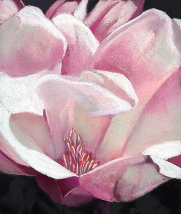 598x704 Magnolia Flower Painting Ria Hills - Magnolia Flower Painting