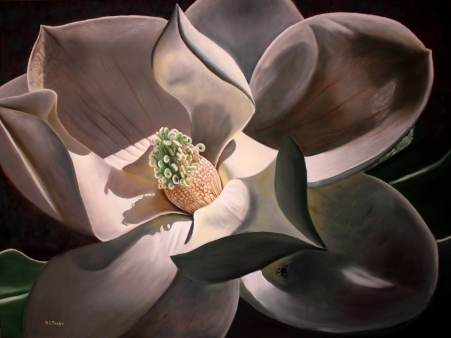 650x488 Delmus Phelps Fine Art And Flower Art - Magnolia Oil Painting