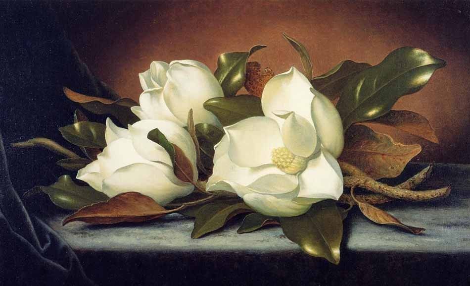 950x577 Huge Oil Painting Martin Johnson Heade - Magnolia Oil Painting