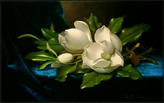 700x438 Oil Painting Reproduction Of Heade Giant Magnolias On A Blue - Magnolia Oil Painting