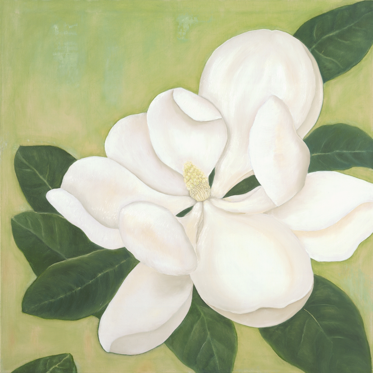1200x1198 White Magnolia Oil Painting By Caitlin Coreris - Magnolia Oil Painting