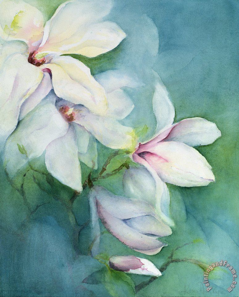 774x960 Magnolia Dedudata Painting By Karen Armitage Daily Florals - Magnolia Painting