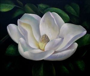 Magnolia Painting at PaintingValley.com | Explore collection of ...