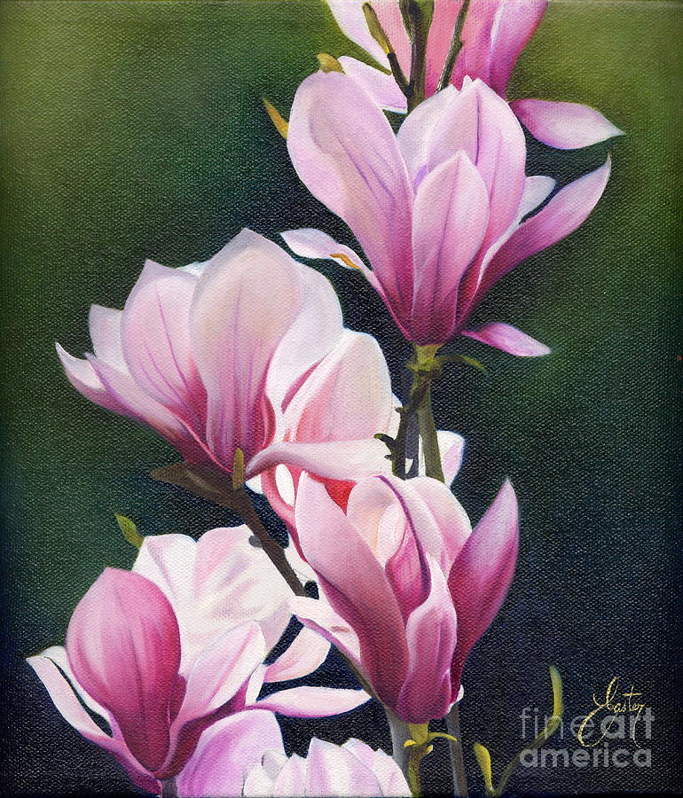770x900 Magnolia Celebration I Painting By Daniela Easter - Magnolia Painting