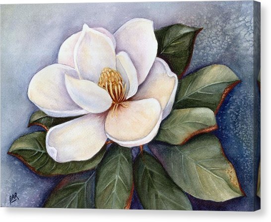 546x447 Magnolia Blossom Iv Painting By Barbara Ann Robertson - Magnolia Painting On Canvas