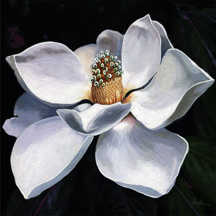 Magnolia Painting On Canvas at PaintingValley.com | Explore collection ...