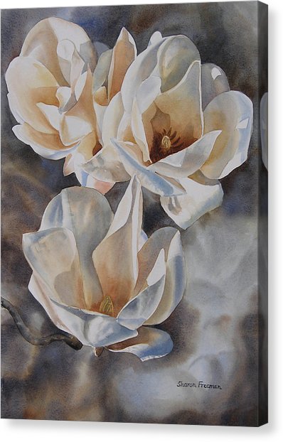398x622 Three White Magnolias Painting By Sharon Freeman - Magnolia Painting On Canvas