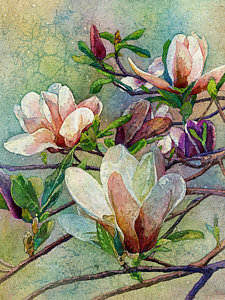 225x300 Magnolia Tree Paintings Fine Art America - Magnolia Tree Painting