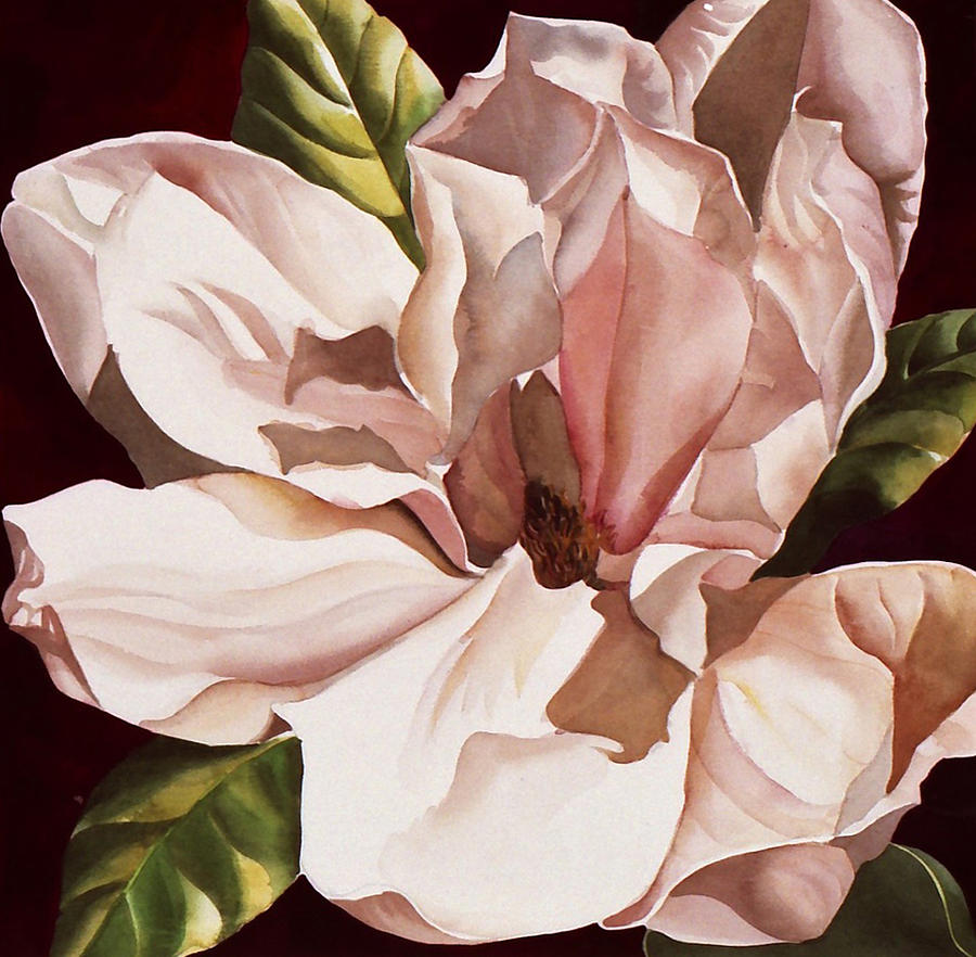 900x882 Magnolia Watercolor Paintings - Magnolia Watercolor Painting