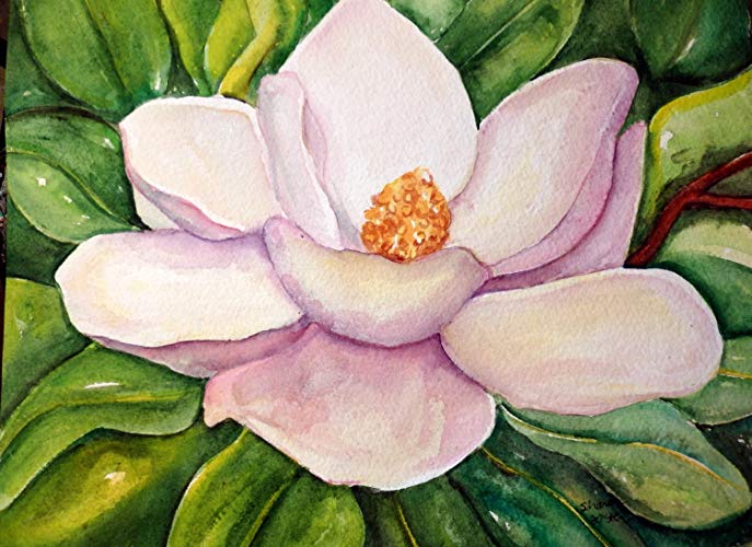 687x500 Magnolia Watercolor Painting Original 10 X 12 Flower - Magnolia Watercolor Painting