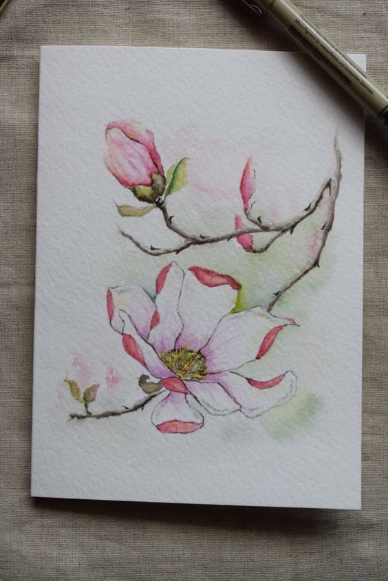 564x845 Pink Magnolia Watercolor Painted Card Original By Sunsetpeonies - Magnolia Watercolor Painting