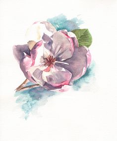 236x285 Rosemary Washington, Magnolia Sketch I Love Books I Love Art - Magnolia Watercolor Painting