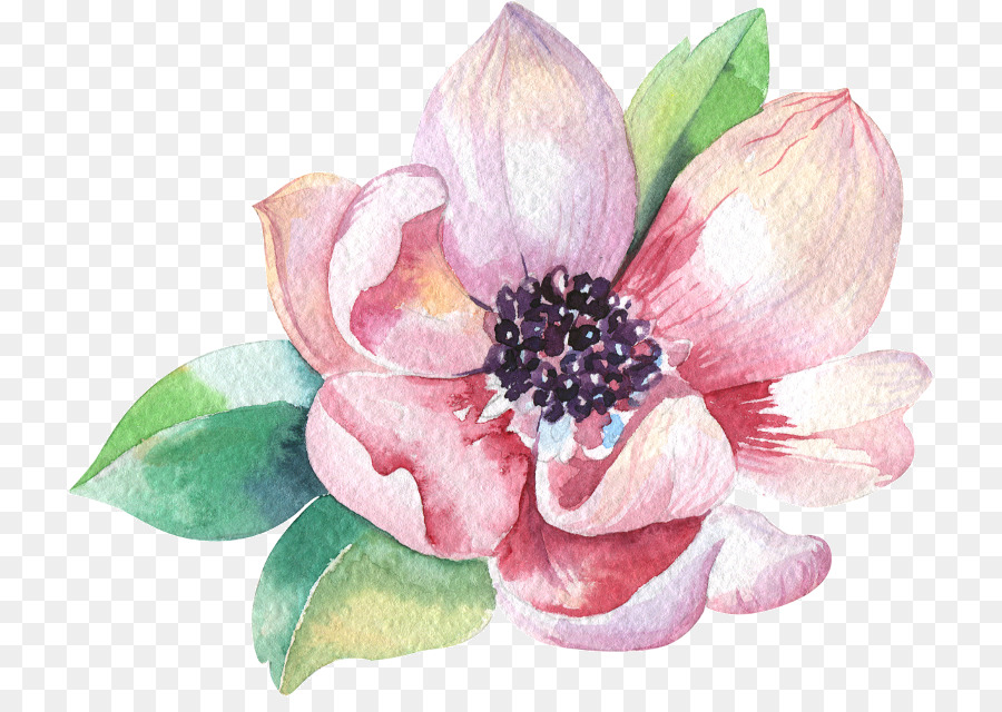 900x640 Watercolor Painting Stock Photography Royalty Free - Magnolia Watercolor Painting