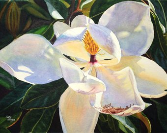 340x270 White Magnolia Watercolor Painting Print By Cathy Hillegas - Magnolia Watercolor Painting