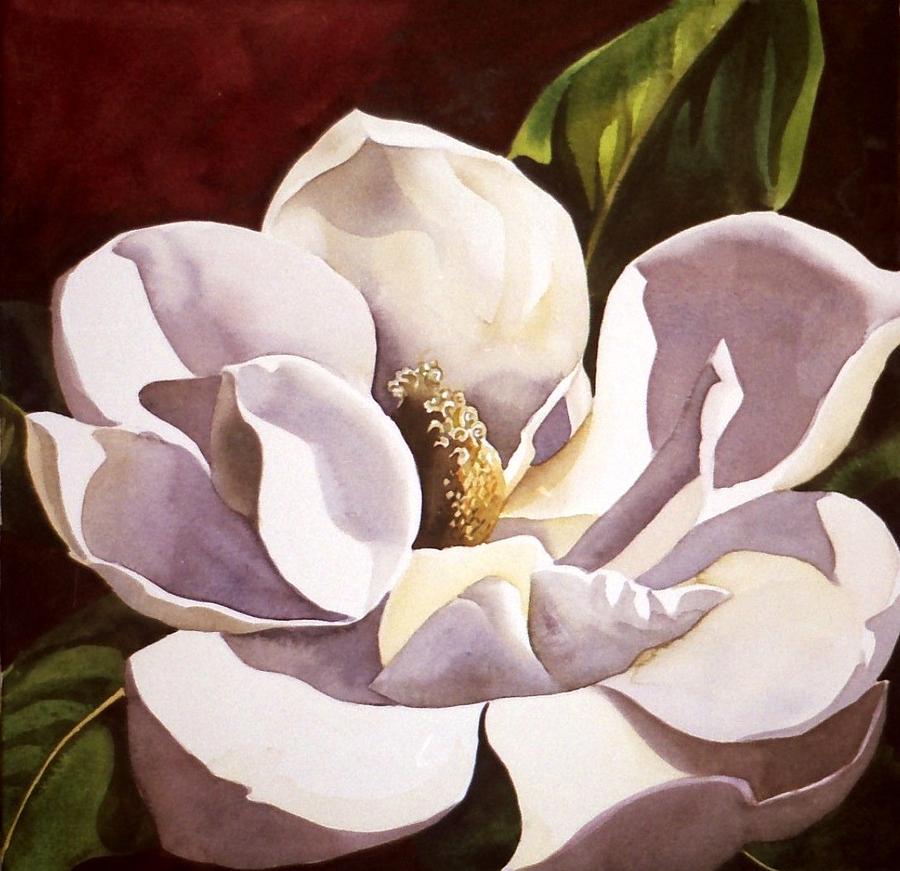 900x871 White Magnolia With Red Painting By Alfred Ng - Magnolia Watercolor Painting