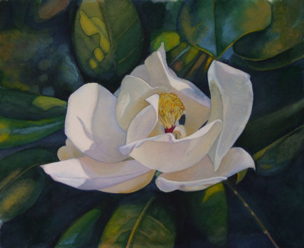 600x490 Betsy Arvelo Buzbee - Magnolia Watercolor Painting