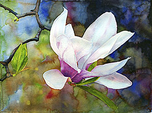 300x222 Workshop Library - Magnolia Watercolor Painting