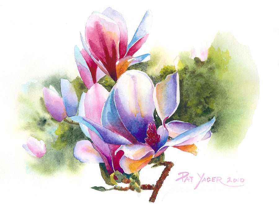 900x673 Colorful Magnolia Painting By Pat Yager - Magnolia Watercolor Painting