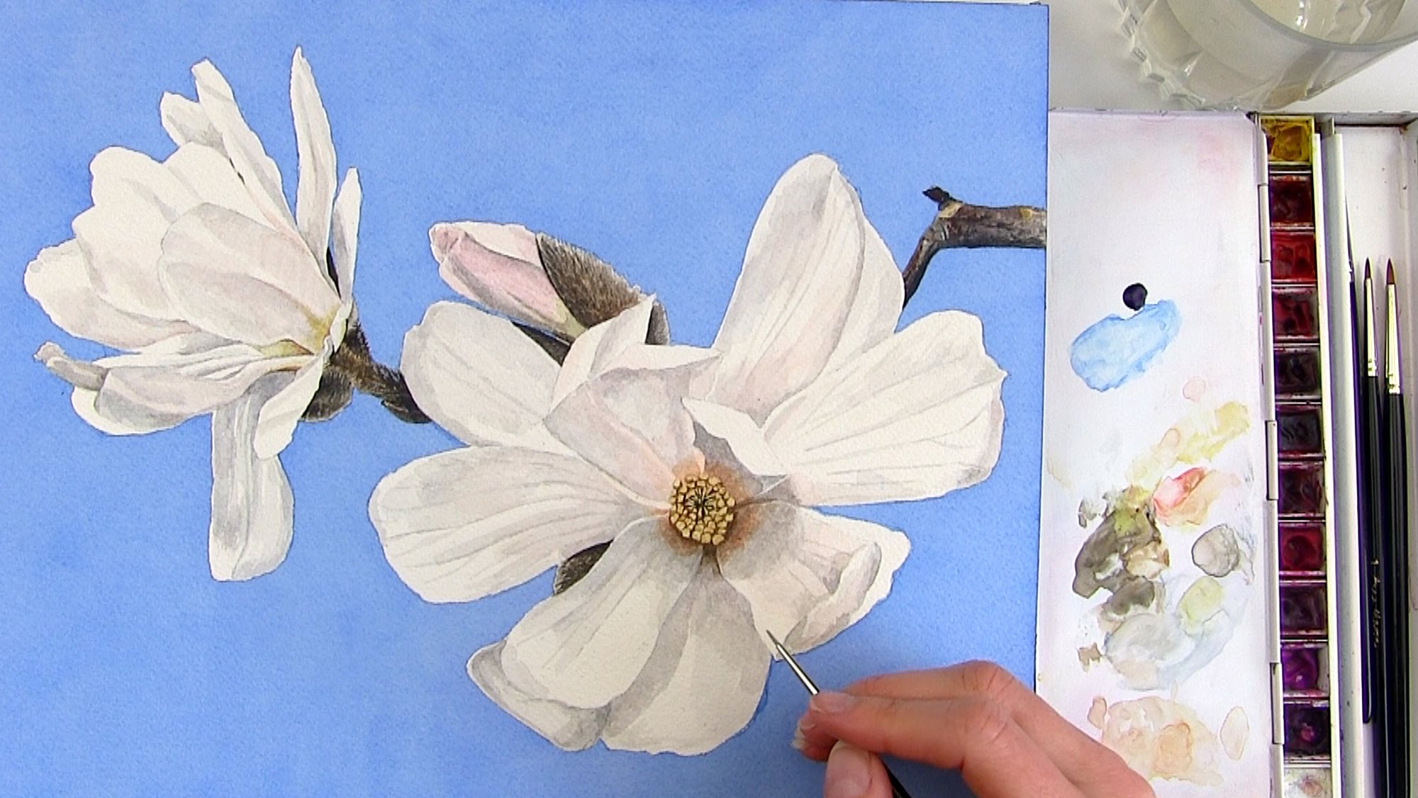 2000x1126 How To Paint A Realistic White Magnolia Flower In Watercolor - Magnolia Watercolor Painting