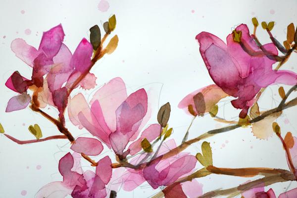 600x400 Magnolia Blossoms No. 12 Original Watercolor Painting By Angela - Magnolia Watercolor Painting