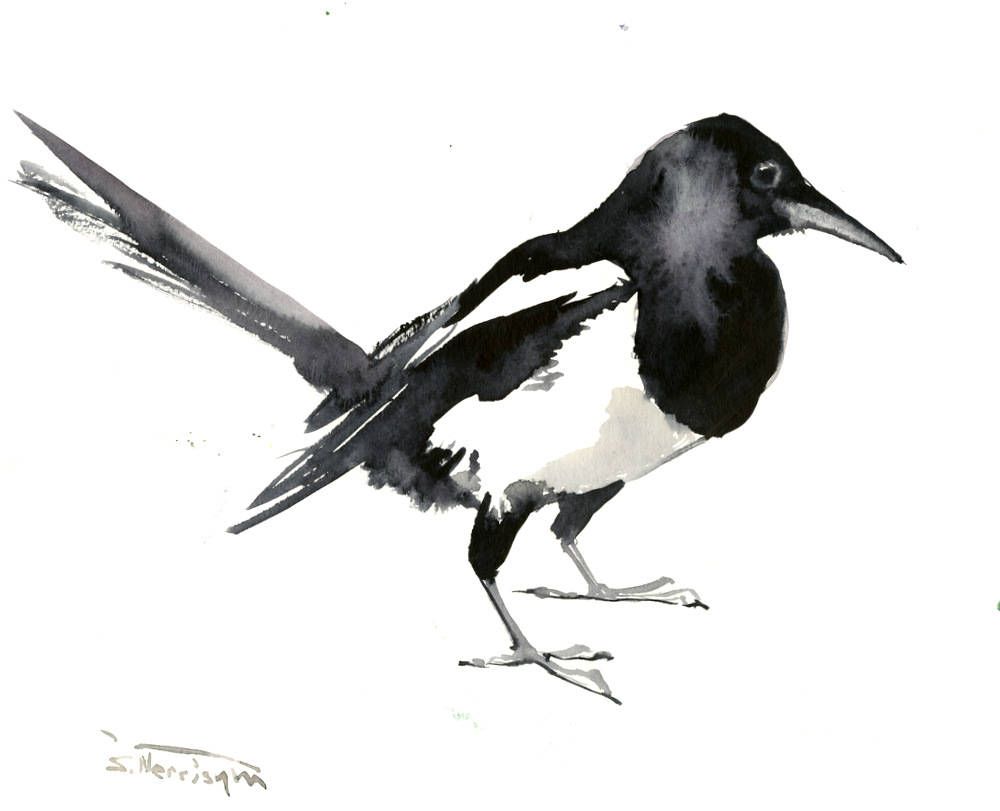 1000x811 Magpie Artwork, Original Watercolor, 12 X 9 In, Magpie Painting - Magpie Painting