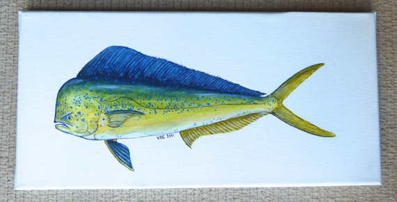 570x291 Items Similar To Mahi Dolphin Fish Painting Original 7 X 14 On Etsy - Mahi Mahi Painting