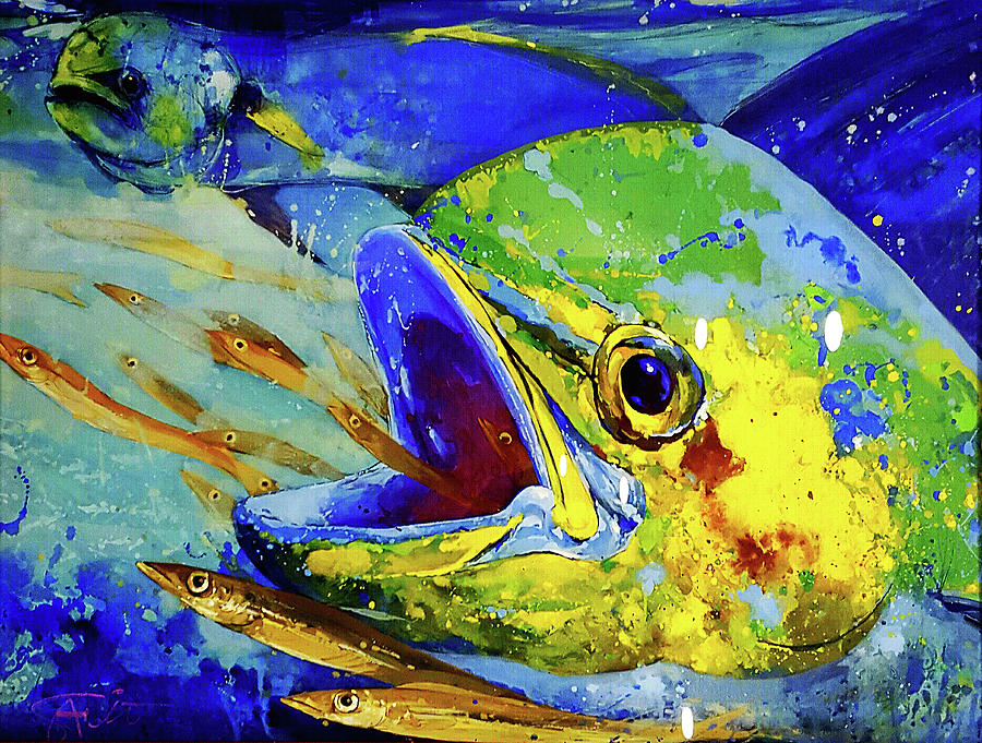 900x681 Mahi Mahi Chasing Bait Painting By Savio Mizzi - Mahi Mahi Painting