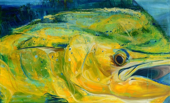 650x394 Mahi Mahi Painting Dorado Giclee Saltwater Fish Art - Mahi Mahi Painting